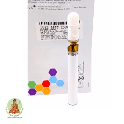 Blissfully Berry Pen