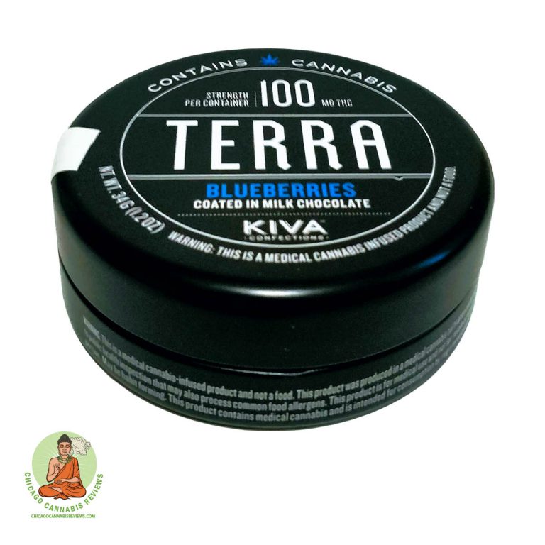 Chocolate-Covered-Blueberries