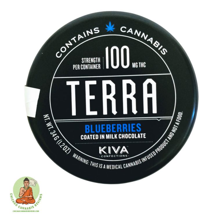 Chocolate-Covered-Blueberries1