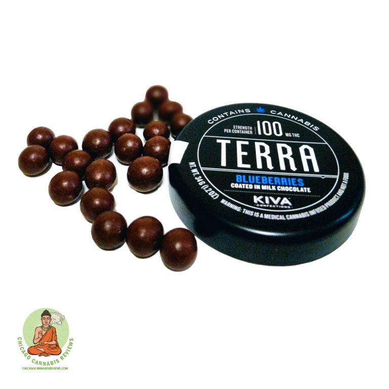 Chocolate-Covered-Blueberries4