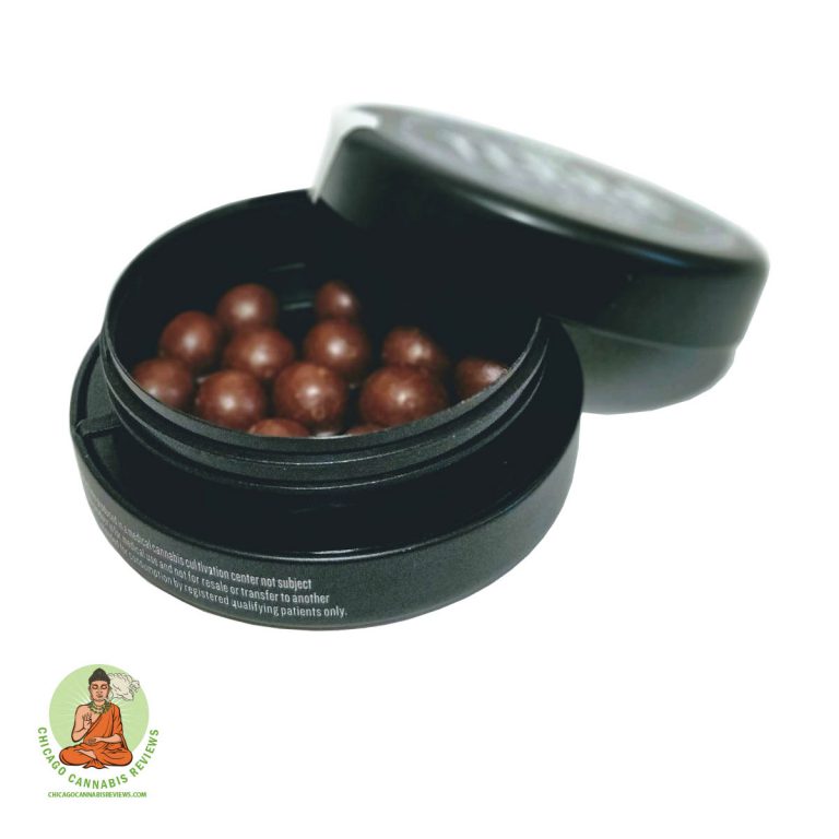 Chocolate-Covered-Blueberries5