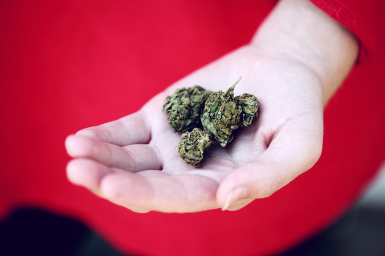 Is-Marijuana-Allowed-In-Nursing-Homes-Here's-Everything-You-Need-To-Know (5)