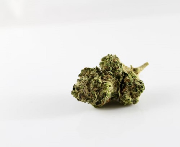 Here's-Why-You-Should-Try-Juicing-Cannabis-1