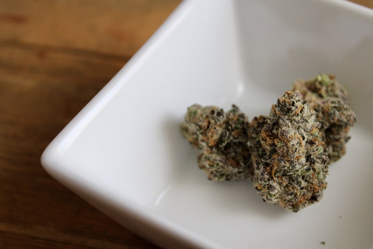 Here's-Why-You-Should-Try-Juicing-Cannabis-4