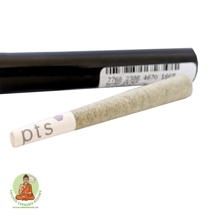 Moby-Dick-Pre-roll-02