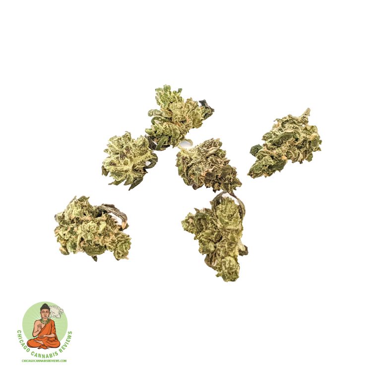 MOCA, Modern Cannabis, Chicago cannabis, Logan Square, UK Cheese, IGF, In Grown Farms