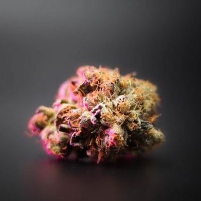 How thc cannabis affects the body
